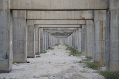 DSC_3029